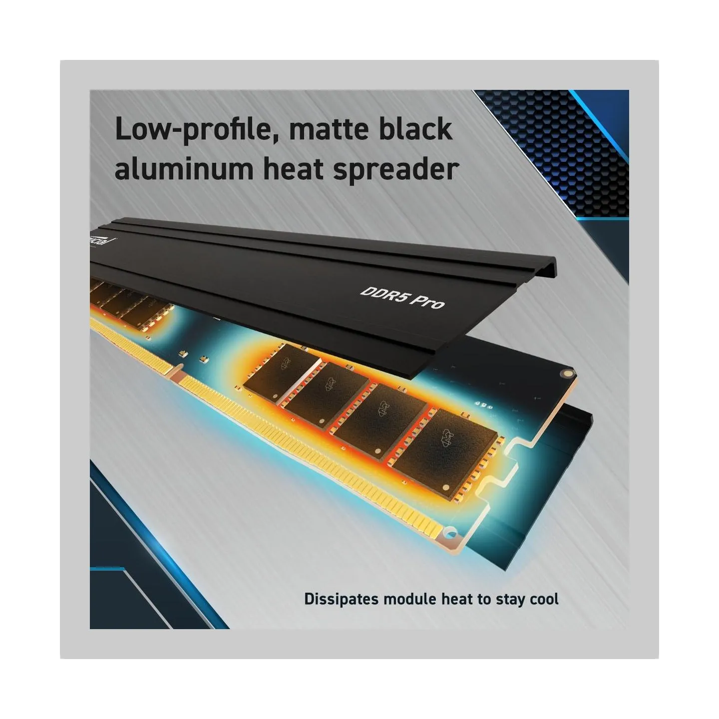 Crucial Memory DDR5 Pro 48GB/5600 (2*24GB) (24Gbit)