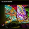 Hisense TV Set|HISENSE|100 "|4K Ultra HD|3840 x 2160 pixels|Flat|16:9|QLED|100E7QPRO