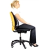 Fellowes | Office Suites mesh back support | Black | Depth 140 mm | Height 512 mm | Mesh textile | Width 439 mm