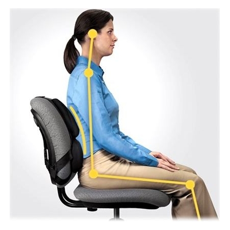 Fellowes | Professional back support - Professional Series | Depth 55 mm | Height 365 mm | High-density foam | Width 375 mm