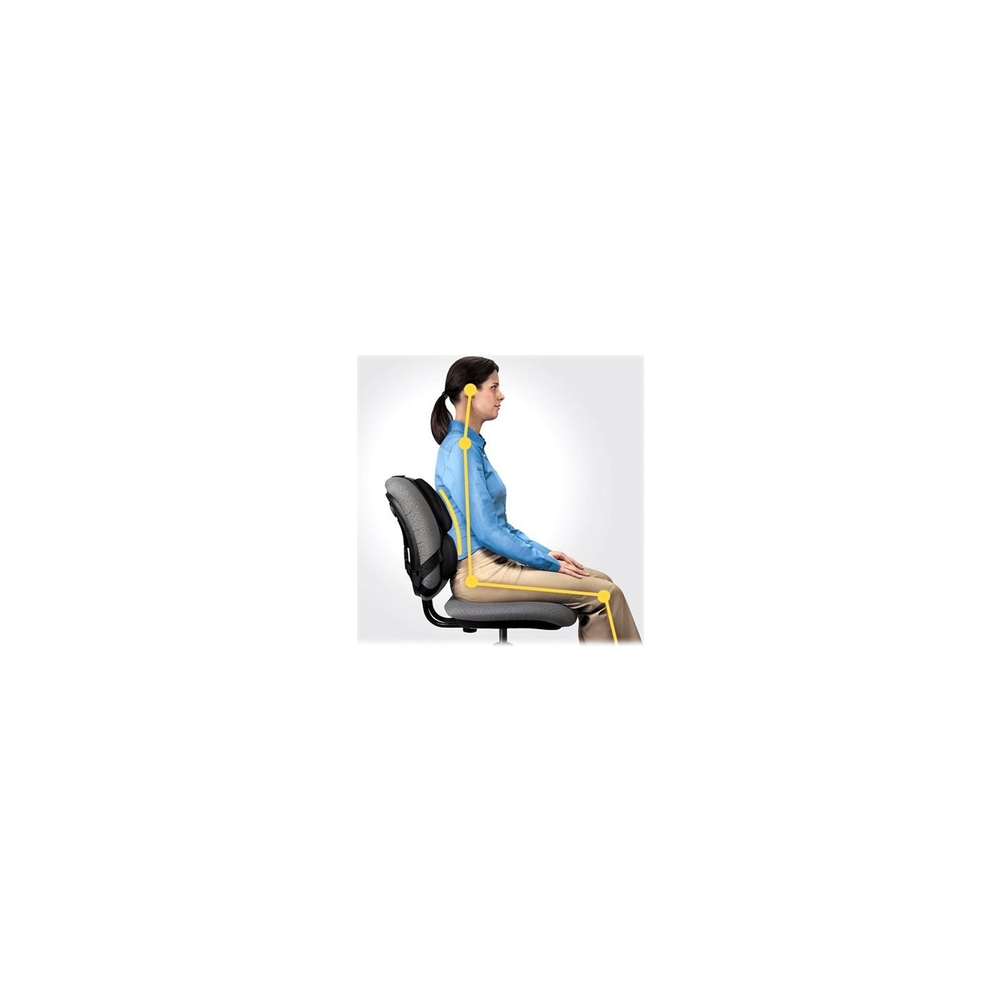 Fellowes | Professional back support - Professional Series | Depth 55 mm | Height 365 mm | High-density foam | Width 375 mm
