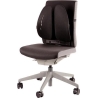 Fellowes CHAIR BACK SUPPORT/BACK ANGEL 8026401 FELLOWES