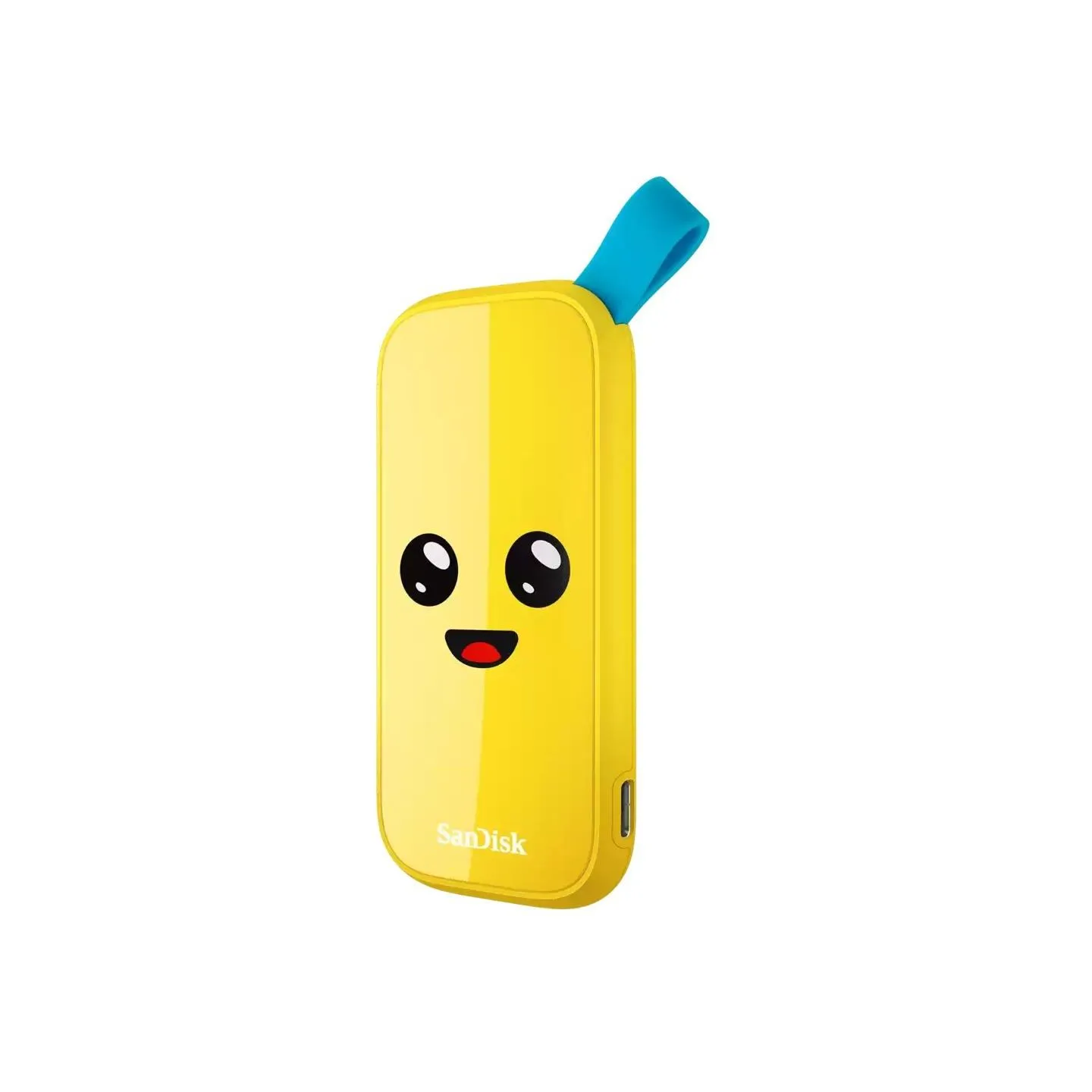 Sandisk External SSD|SANDISK|1TB|USB 3.2|Read speed 800 MBytes/sec|SDSSDE30-1T00-G25F