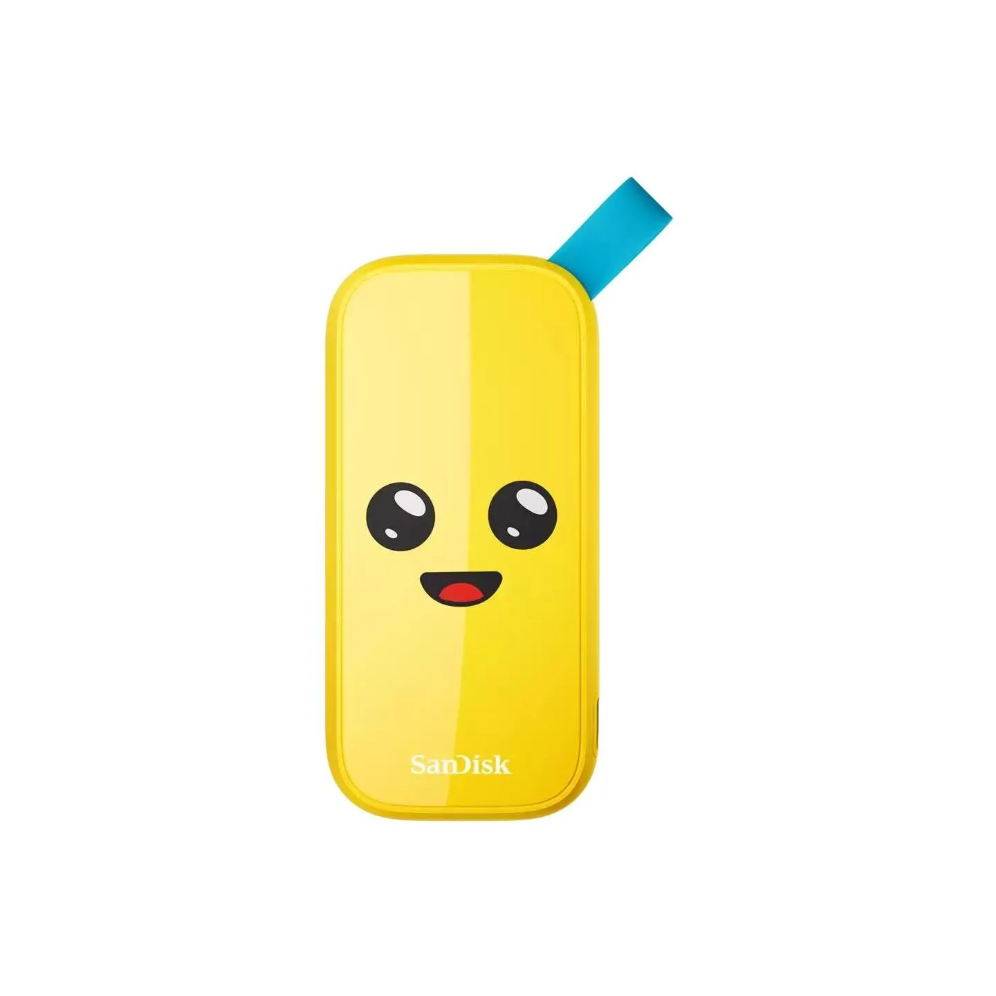 Sandisk External SSD|SANDISK|1TB|USB 3.2|Read speed 800 MBytes/sec|SDSSDE30-1T00-G25F