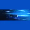 Kingston KC3000 1024GB SSD, M.2 2280, PCIe 4.0 NVMe, Read/Write 7000/6000MB/s, Random Read/Write: 900K/1000K IOPS