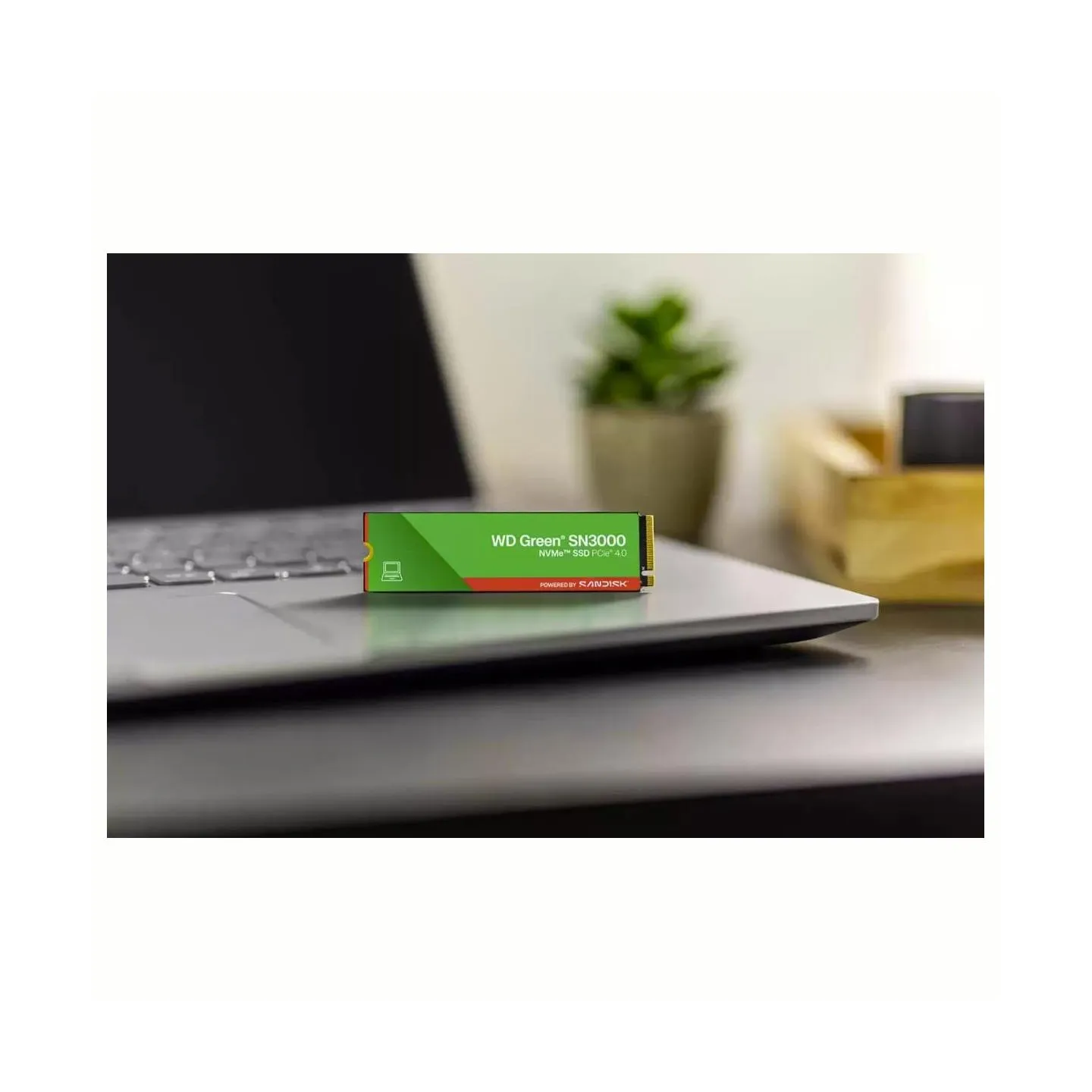 Sandisk SSD|SANDISK|150xTBW rating|MTBF 1.75 h|NVMe Yes|PCI Express 4.0|M.2|1000 GB|WDS100T4G1E-00CPS0