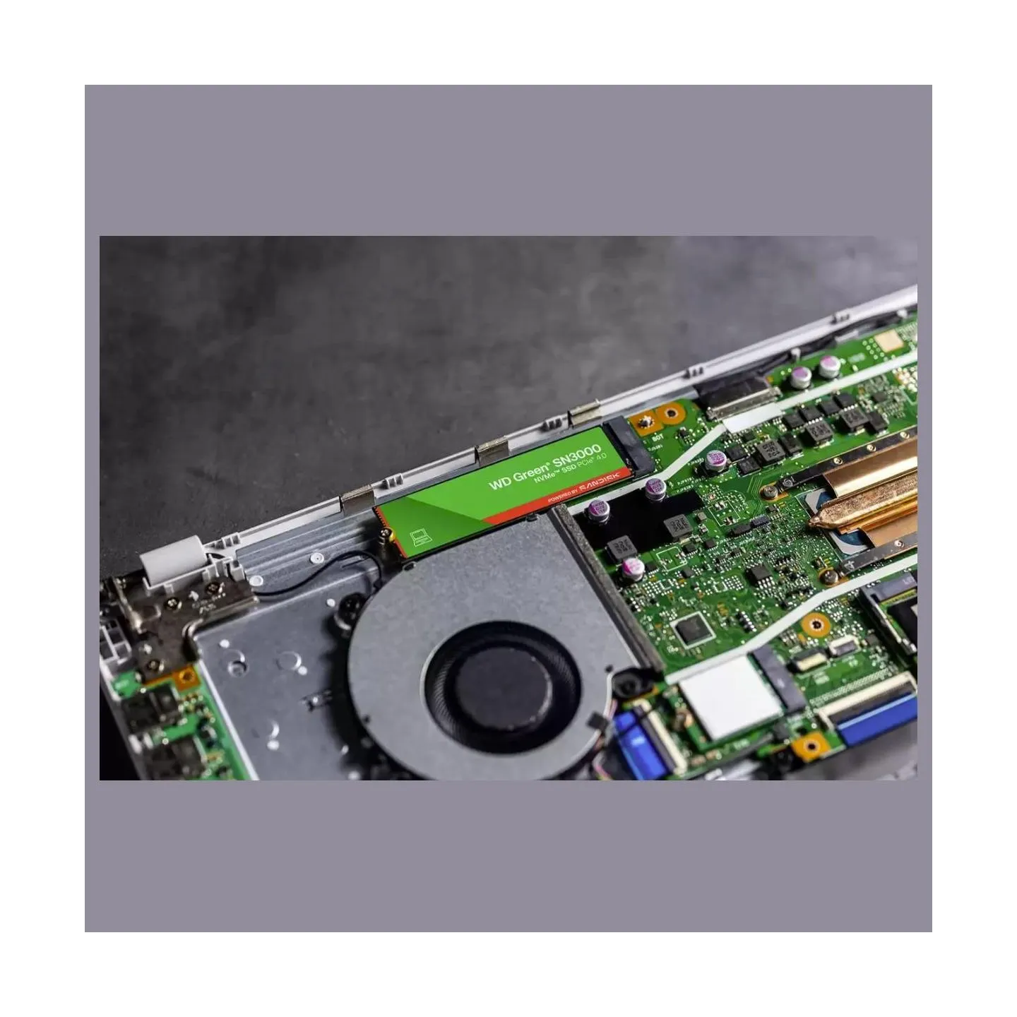 Sandisk SSD|SANDISK|150xTBW rating|MTBF 1.75 h|NVMe Yes|PCI Express 4.0|M.2|1000 GB|WDS100T4G1E-00CPS0