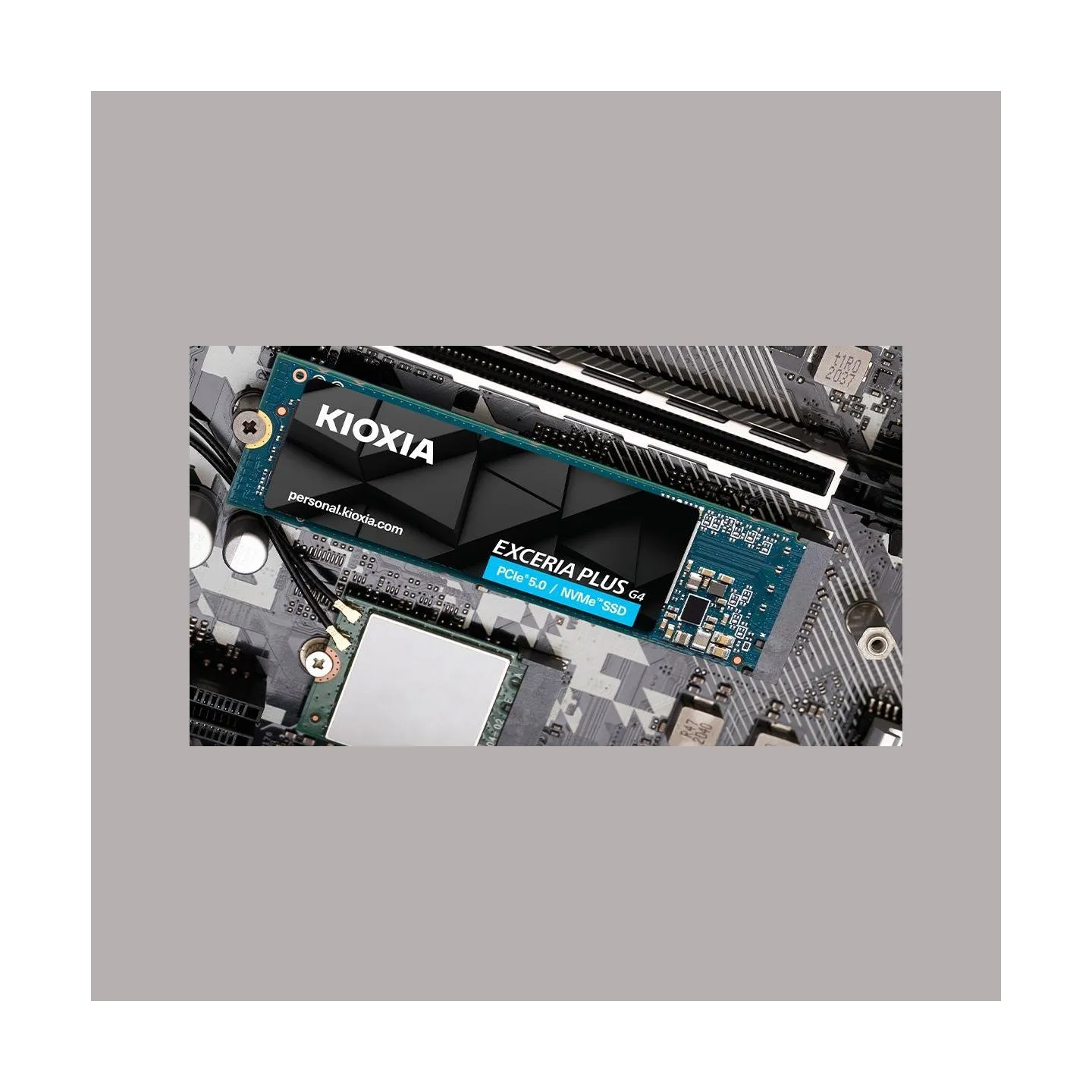 Kioxia SSD|KIOXIA|NVMe Yes|PCI Express 5.0|M.2|2000 GB|LVD10Z002TG8
