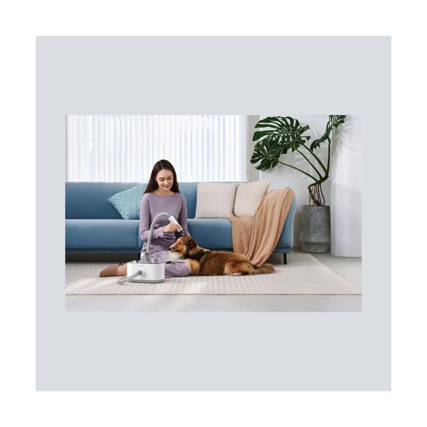 Dreame Vacuum Cleaner|DREAME|Mova G1 Pro Pet Grooming Kit|Dust capacity 1 L|Cleaning type Dry|Colour White|PHC10A