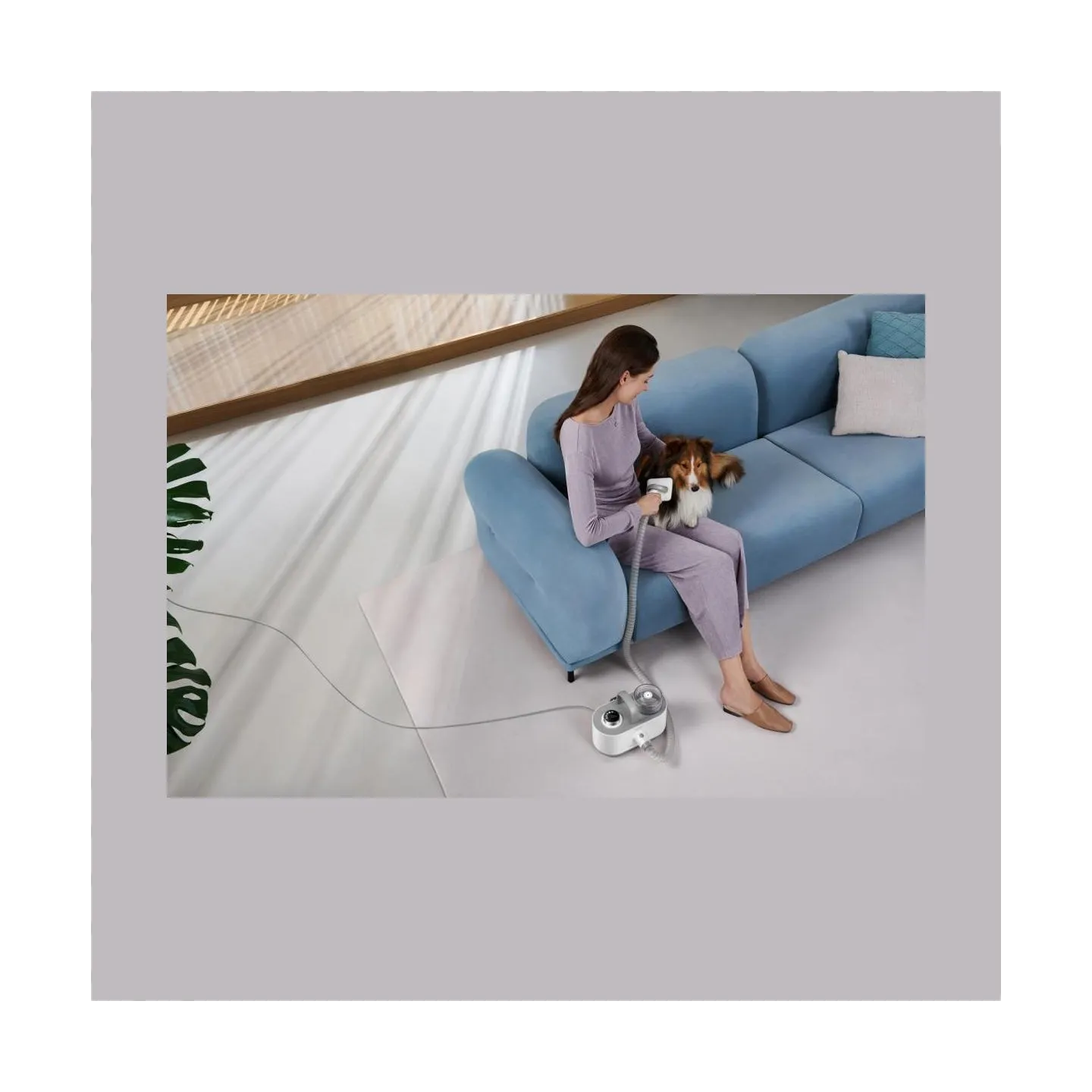 Dreame Vacuum Cleaner|DREAME|Mova G1 Pro Pet Grooming Kit|Dust capacity 1 L|Cleaning type Dry|Colour White|PHC10A