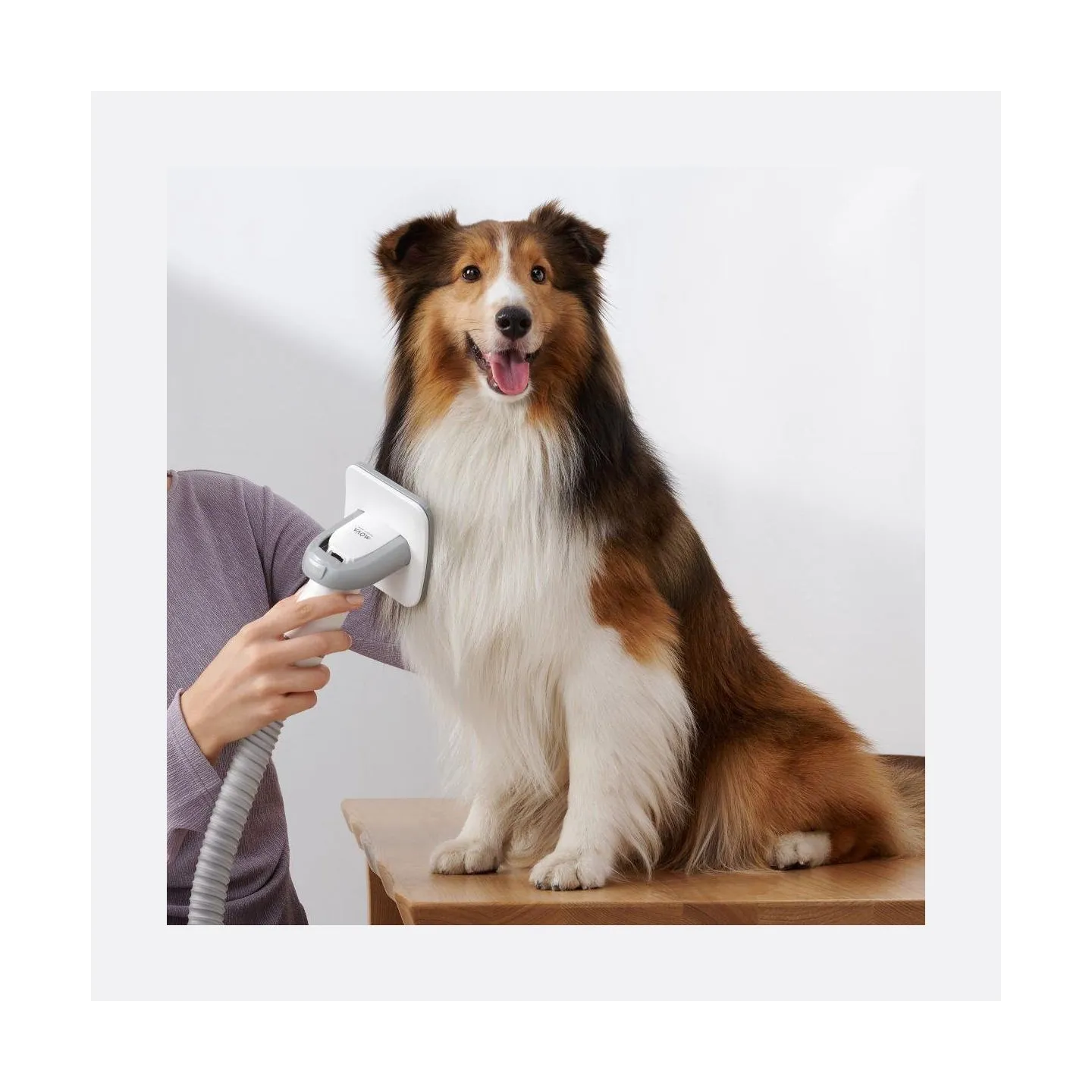 Dreame Vacuum Cleaner|DREAME|Mova G1 Pro Pet Grooming Kit|Dust capacity 1 L|Cleaning type Dry|Colour White|PHC10A