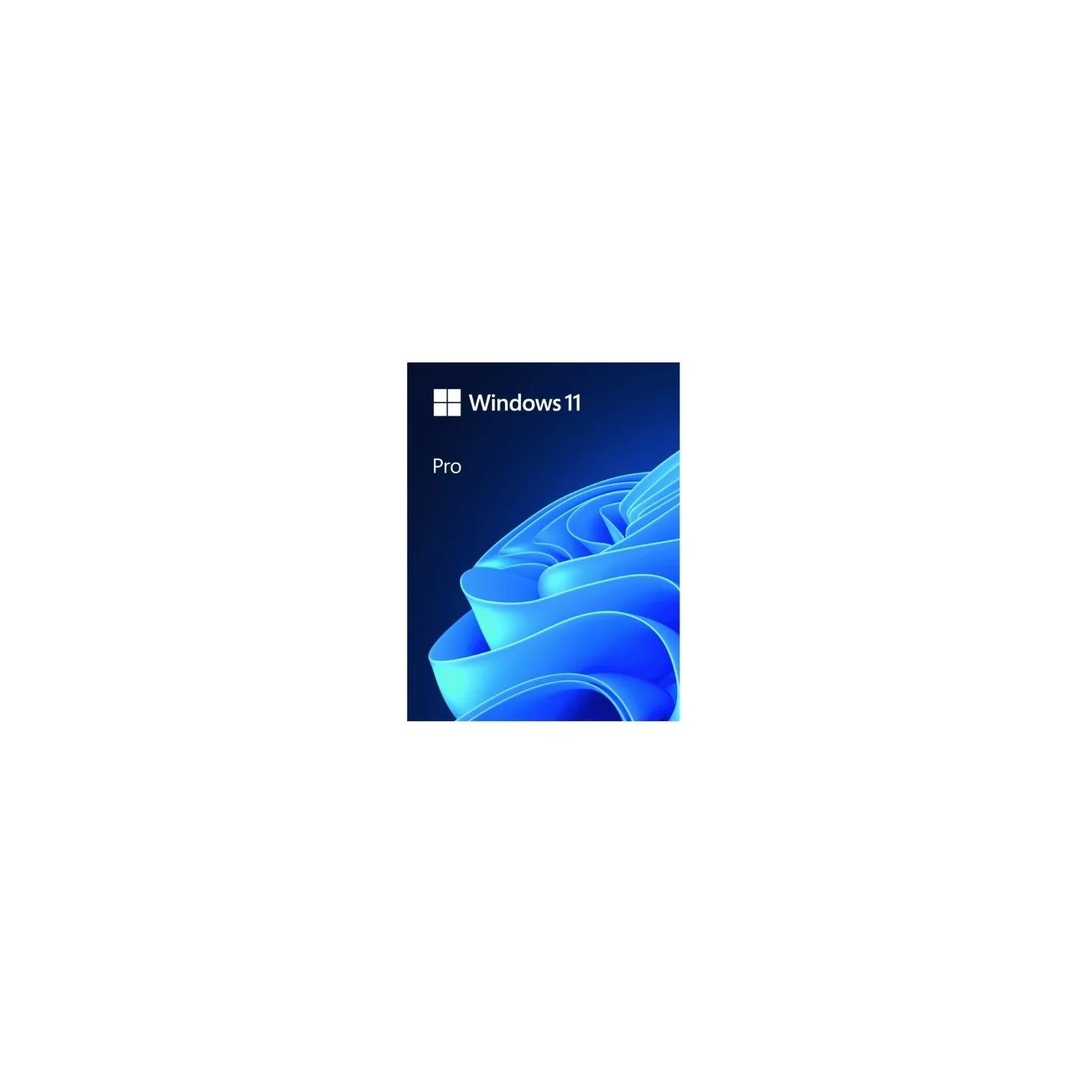 Microsoft Windows Pro 11 64bit ENG USB Flash Drive Box HAV-00163 Successor of P/N: HAV-00060