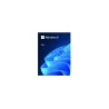 Microsoft Windows Pro 11 64bit ENG USB Flash Drive Box HAV-00163 Successor of P/N: HAV-00060