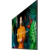 Samsung QB50C 50inch UHD 16/7 350nit