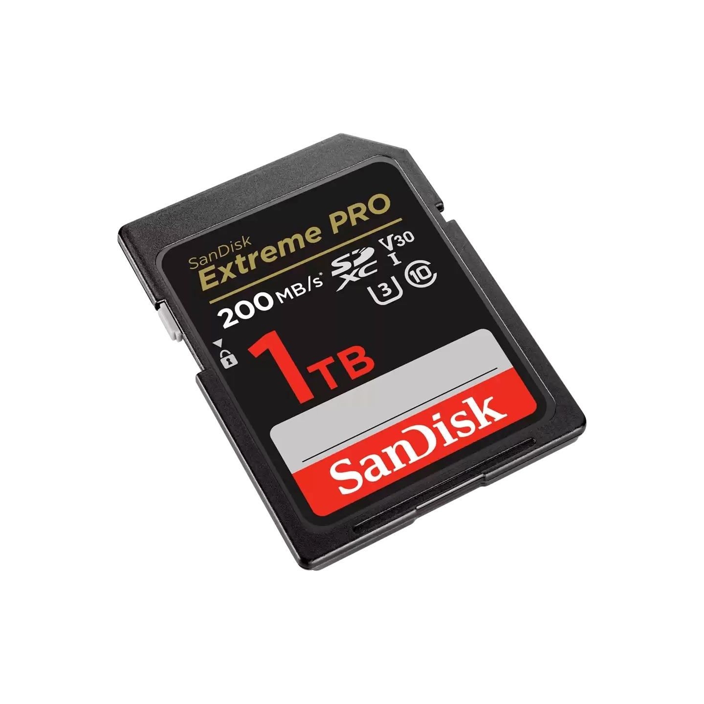 Sandisk MEMORY SDXC 1TB UHS-I/SDSDXXD-1T00-GN4IN SANDISK