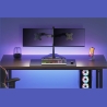 Neomounts NEWSTAR FLAT SCREEN DESK MOUNT (STAND)  10-32" BLACK