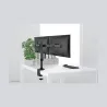 Neomounts MONITOR ACC DESK MOUNT 10-27"/FPMA-DCB100DBLACK NEOMOUNTS