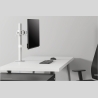 Neomounts MONITOR ACC DESK MOUNT/10-30" NM-D135WHITE NEOMOUNTS