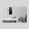 Neomounts MONITOR ACC DESK MOUNT/10-30" NM-D135WHITE NEOMOUNTS