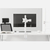 Neomounts MONITOR ACC DESK MOUNT/10-30" NM-D135WHITE NEOMOUNTS