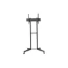Neomounts BY NEWSTAR MOBILE FLOOR STAND (HEIGHT ADJUSTABLE: 128,5-145 CM)