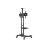 Neomounts MOBILE FLAT SCREEN FLOOR STAND (32-75")