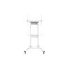 Neomounts Floor stand | FL55-875WH1 TV trolley | Adjustable Height | 55-100 " | Maximum weight (capacity) 110 kg | White