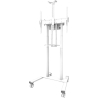 Neomounts Floor stand FL55-875WH1 55-100cali 110kg 100x100-800x600 h:111-176cm PILOT
