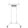 Neomounts Floor stand FL55-875WH1 55-100cali 110kg 100x100-800x600 h:111-176cm PILOT