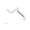 Neomounts FLAT SCREEN DESK MOUNT (10-49") DESK CLAMP/GROMMET
