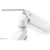 Neomounts FLAT SCREEN DESK MOUNT (10-49") DESK CLAMP/GROMMET