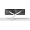 Neomounts DS70-250WH2 FULL MOTION MONITOR ARM DESK MOUNT FOR 17-32" SCREENS - WHITE