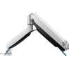Neomounts FLAT SCREEN DESK MOUNT (10-32") DESK CLAMP/GROMMET