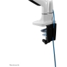Neomounts FLAT SCREEN DESK MOUNT (10-32") DESK CLAMP/GROMMET