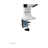 Neomounts FLAT SCREEN DESK MOUNT (10-32") DESK CLAMP/GROMMET