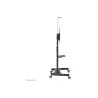 Neomounts NEWSTAR MOBILE FLAT SCREEN FLOOR STAND (HEIGHT: 128-160 CM) 60-100" BLACK