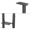 Neomounts NEWSTAR MOBILE FLAT SCREEN FLOOR STAND (HEIGHT: 128-160 CM) 60-100" BLACK