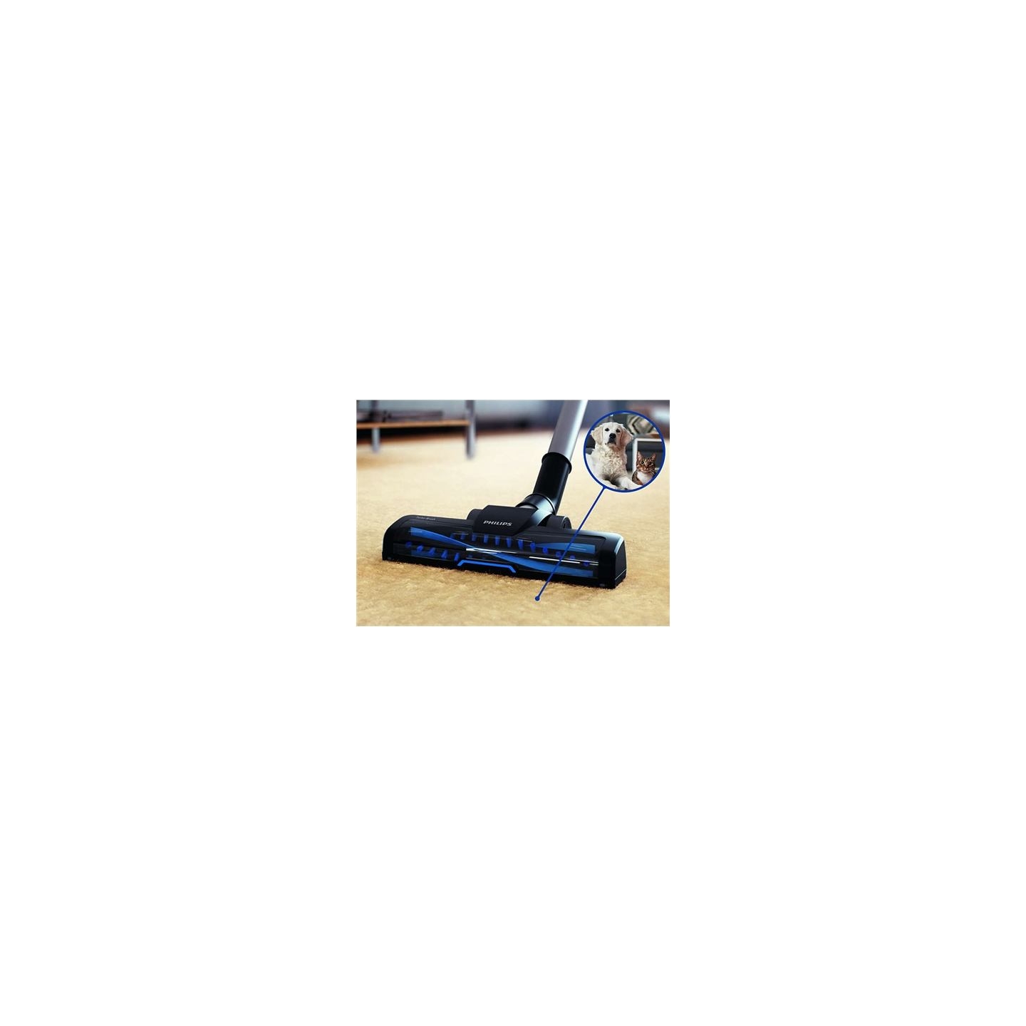 Philips | Vacuum cleaner | PowerPro Active FC9556/09 | Bagless | Power 900 W | Dust capacity 1.5 L | Blue