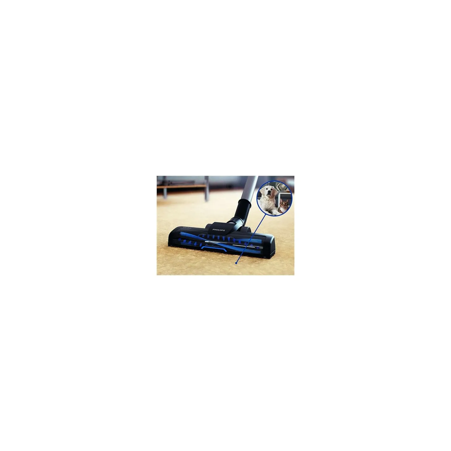 Philips | Vacuum cleaner | PowerPro Active FC9556/09 | Bagless | Power 900 W | Dust capacity 1.5 L | Blue