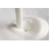 Philips CA6500/63 Milk Twister Milk frother / CA6500/63