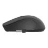Gembird MUSW-4B-04 Wireless optical mous