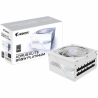 Gigabyte AORUS ELITE P850W 80+ Platinm