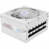 Gigabyte AORUS ELITE P850W 80+ Platinm