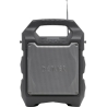 Denver TSP-203