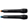 Blaupunkt PB12DB