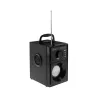 Media-Tech MT3179 Boombox Silver