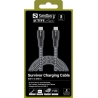 Sandberg 441-67 Survivor USB-C Cable 2M 100W