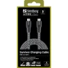 Sandberg 441-67 Survivor USB-C Cable 2M 100W