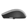 Gembird | Mouse | MUSW-4B-04-BG | Standard | Wireless | Black/ Space Grey