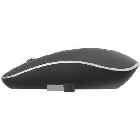 Gembird MOUSE USB OPTICAL WRL/BLACK MUSW-4B-01 GEMBIRD